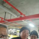 주차17 이미지