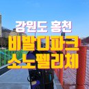 1시간대! 주말 1월, 스키장 비발디파크, 장비 의류 렌탈, 셔틀버스 사당 후기, 강원도 여행, 스키장 비교