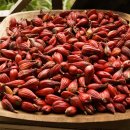 파라다이스 이미지