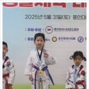 용인 신일 태권도장 이미지