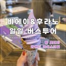 라벤더 | 삿포로 일일 버스투어｜팜토미타 라벤더 아이스크림 후기
