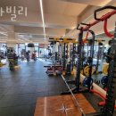 스타빌리 이미지