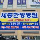 세종스러움 이미지