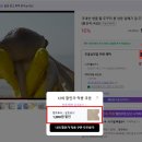 대안수산 | 국산 알 쭈꾸미 활쭈꾸미 제철 참조은수산 추천 장단점 후기 및 16%할인 구매 방법