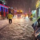 월영동268 이미지