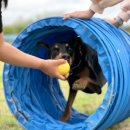 김동권 독 트레이닝센터 이미지