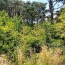 송동면 부석마을 이미지