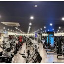 카인드 휘트니스 이미지