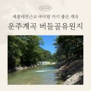 원월평유원지내 화장실 | 세종 대전 당일치기 계곡여행! 운주계곡 버들골유원지 여름휴가 후기