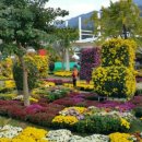 고창선운산풍천장어 이미지