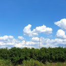 뭉개구름 이미지