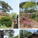 우화정(조응식가옥)