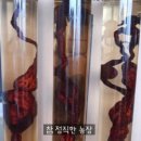 참정직한농장