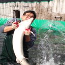 광선농장 이미지