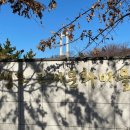 남구-055 이미지