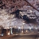 인천광역시 계양경기장 계양체육관주경기장 이미지