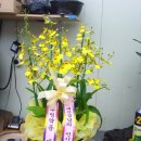 우림약품 이미지