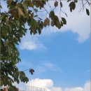 난향동-7 이미지