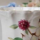 도그 블라썸 이미지