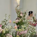 ෆ-Wedding 21. 결혼식 본식 웨딩촬영 아이폰스냅 추천, 부산 아이폰스냅 헬퍼 달래줄래 후기