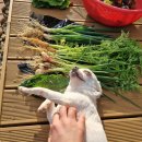 준구농장 이미지