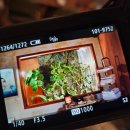 아시아선수촌프레스센터상가 | 반여동 공간 대여 가능한 핸드드립 맛집 카페 빅허그