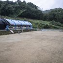 백운호수 능안계곡 | 의왕 백운호수 맛집 능안계곡 궁중해신탕 비주얼대박 후기