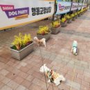 킨더라스 다산점 이미지