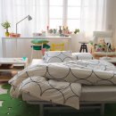 모아그린방 이미지