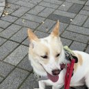 청소팅커벨 Daum카페