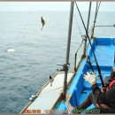 동해세꼬시 이미지