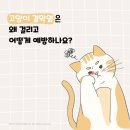 장호원동물병원 네이버블로그