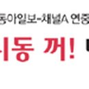 동아카시트 동아일보
