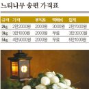 송악농협느티나무떡 이미지