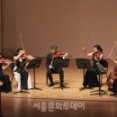 제7회 제주국제실내악 페스티벌 이미지