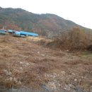 완월동168 이미지