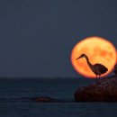 A WORLD TOUR WITH CM 이미지