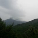 재박이네 이미지