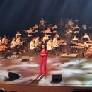 안산시립예술단 특별기획공연 잼버리 환영 음악회 이미지
