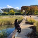 갈대정원 이미지