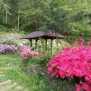 운주산농장 이미지