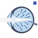 소중한 안경원