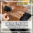 민화 속 반려동물 | 브런치카페 추천☕ 반려견 동반 가능한 더왓에버 솔직 후기 | 레오와 브런치, 달리기, 그리고 하루의 끝