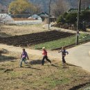 식구 카카오 검색결과