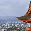 세기교통 이미지