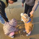 고달할머니 이미지