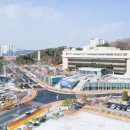 충남대로 이미지