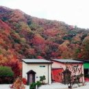 무주읍146 네이버블로그