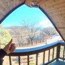 아르고통나무펜션 이미지