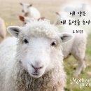 빨간모자 이미지